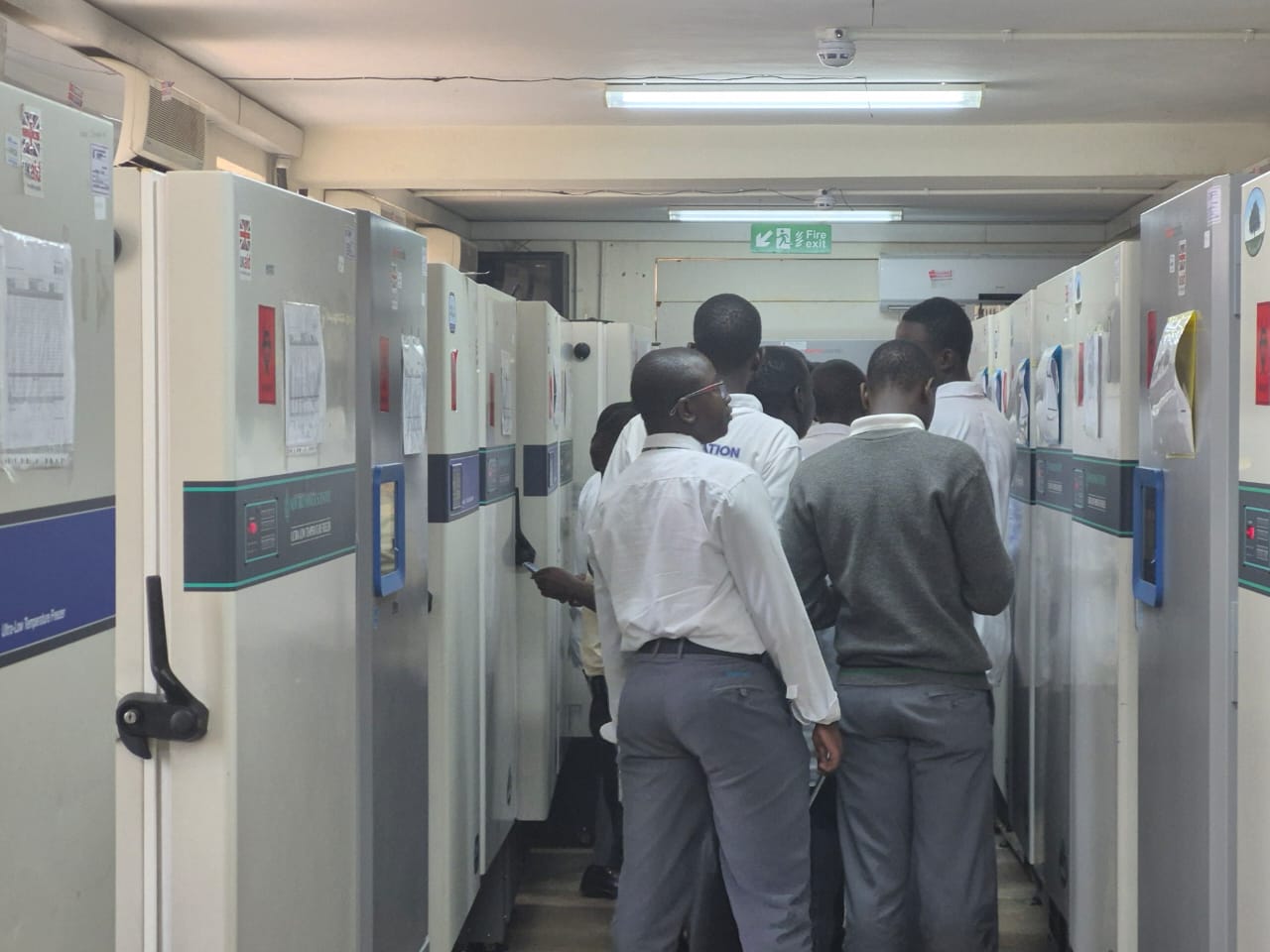 Youth Skills & Technical Training